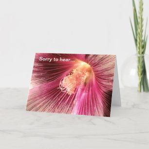 Cartão Pegue Bem A Flor Holly Hock Rosa