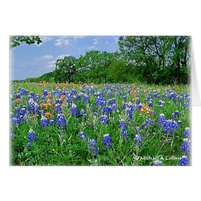 Cartão Pegue seu travesseiro (Frente Horizontal)