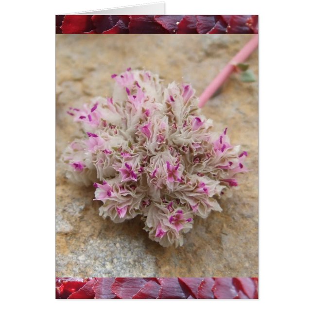 Cartão Peitos (Frente)