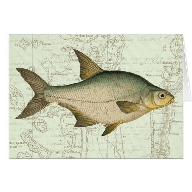 Cartão Peixe água fresca no Mapa (Frente Horizontal)