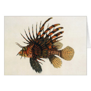 Cartão Peixe-Leão, Vida Marinha Oceânica Animal Vintage