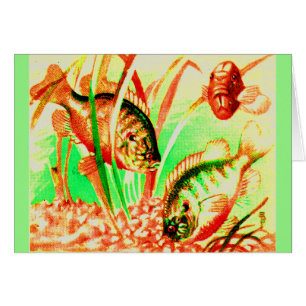 Cartão peixe-sol água fresca