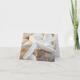 CARTÃO PEIXES-ALVO E PAINÉIS-ALCANCE