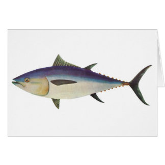 Cartão Peixes - atum de Bluefin do sul - maccoyii do