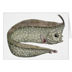 Cartão Peixes De Peixes Oárpticos Detidos Vintage, Vida A