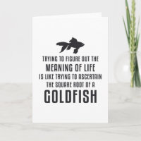 Peixes Goldfish Significado da vida Peixes-Goldfis