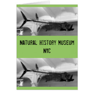 Cartão Peixes Pré-Históricos B+W