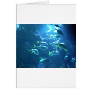 Cartão Peixes Tropicais