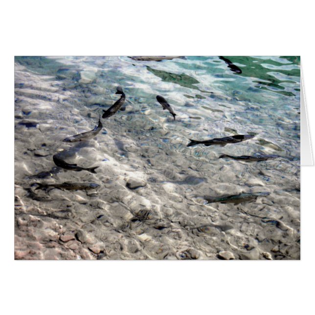 Cartão Peixes voadores (Frente Horizontal)