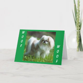 Cartão Pekingese diz WOOF WOOF (feliz aniversário)