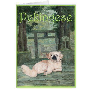 Cartão Pekingese no Portão Oriental