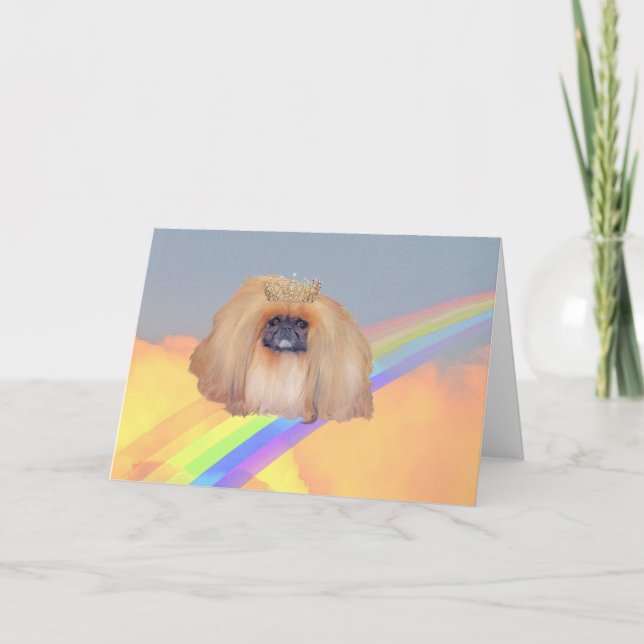 Cartão Pekingese Rainbow (Frente)