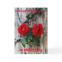 Pela minha linda esposa no Dia de as mães