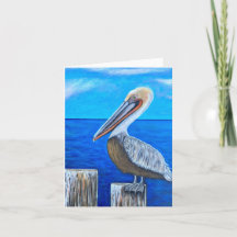 Pelican