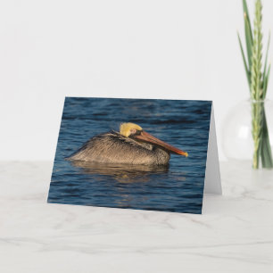 Cartão Pelican Resting in Water Greeting Card