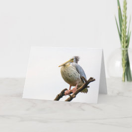 Cartão Pelican, Tanzânia