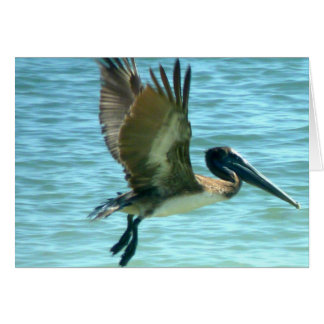 Cartão Pelican Watch