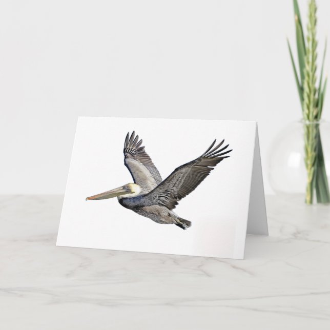 Cartão Pelicano claro (Frente)