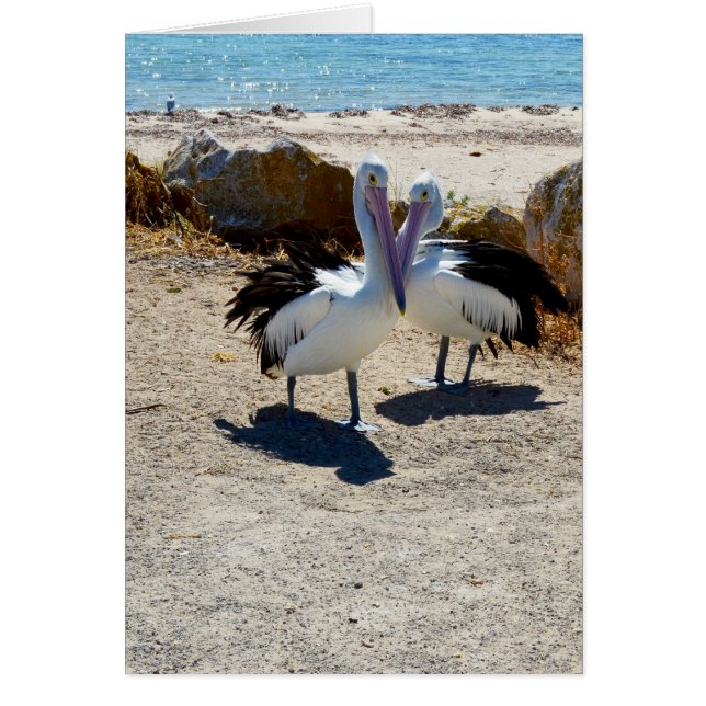 Cartão Pelicanos Apaixonados (Frente)