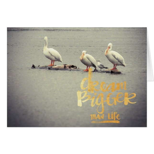 Cartão Pelicanos e Seagull Dream Maior Inspirador (Frente horizontal)