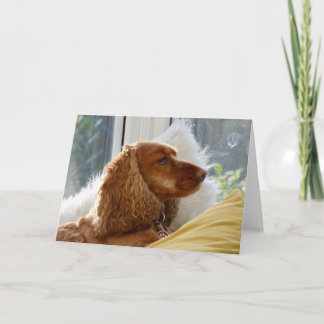 Cartão Pelo amor dos cães