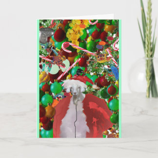 cartão peludo do gOATMaS