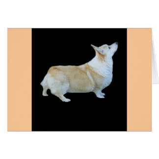 Cartão Pembroke Welsh Corgi