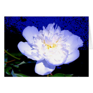 Cartão Pêmona floral azul púrpura Elegante