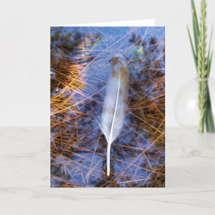 Cartão Pena de Egret