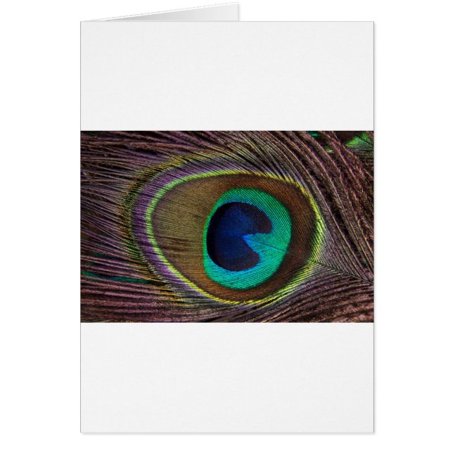 Cartão pena de paz (Frente)