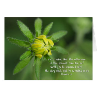 Cartão Penas atuais Romanos 8:18 Margarida Amarela