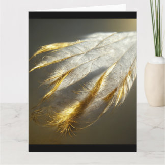 Cartão penas brancas ouros
