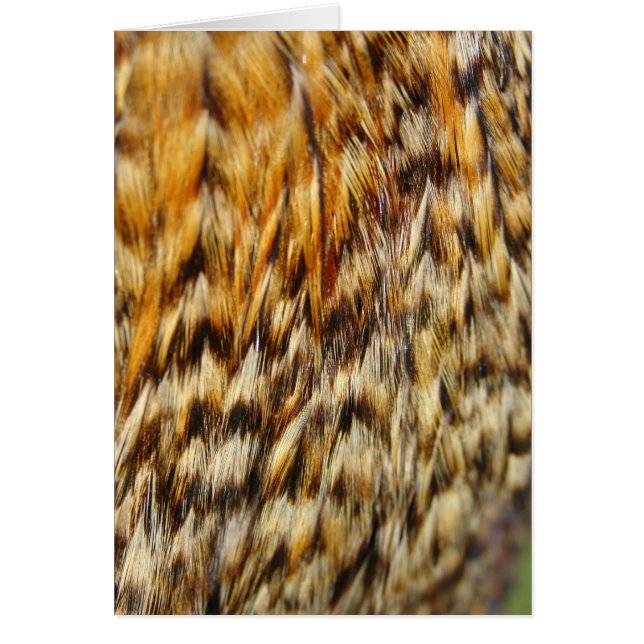 Cartão Penas de frango (Frente)