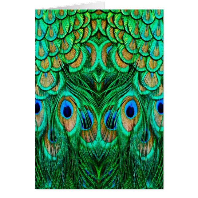 Cartão Penas de Peacock Gloriosas (Frente)