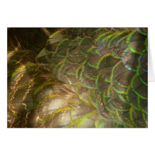 Cartão Penas Peacock III (Mulher) Design