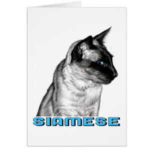 Cartão Pencil Siamese