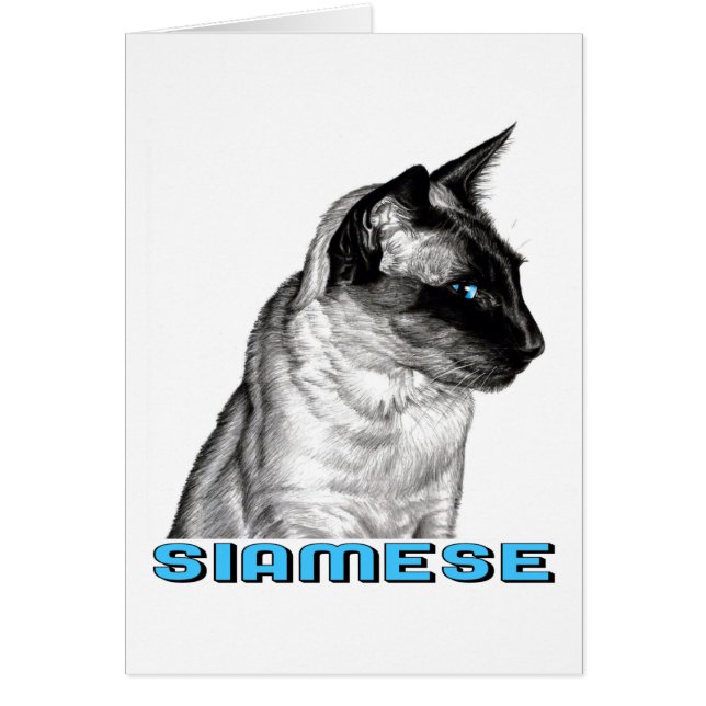 Cartão Pencil Siamese (Frente)