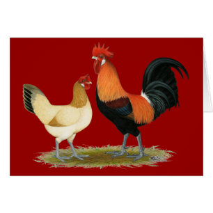 Cartão Penedesenc a Chickens