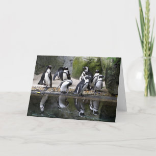 Cartão Penguin Blank Greeting Card