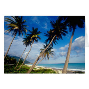 Cartão Península de La Samana, República Dominicana,