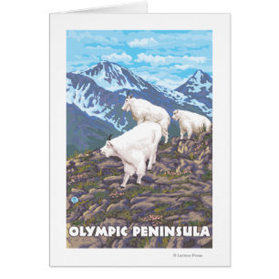 Cartão Península olímpica, cabras de WashingtonMountain
