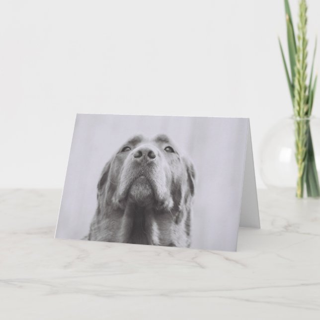 Cartão Penny (Frente)