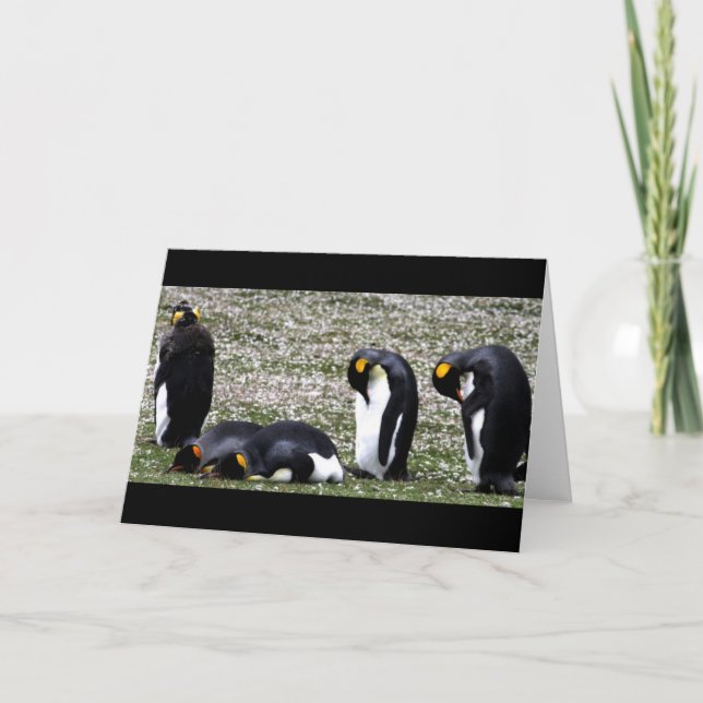Cartão Penquin Mondays Notecard (Frente)