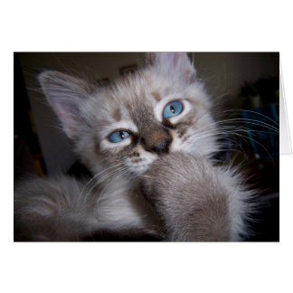 Cartão Pensador introspectivo