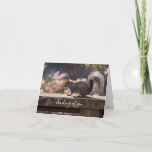 Cartão Pensamento Brilhante De Esquilo De Você