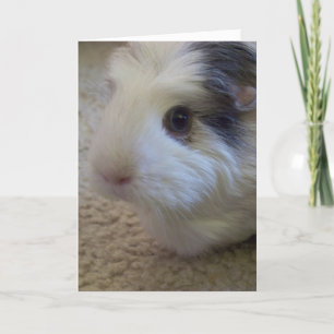 Cartão Pensamento de você