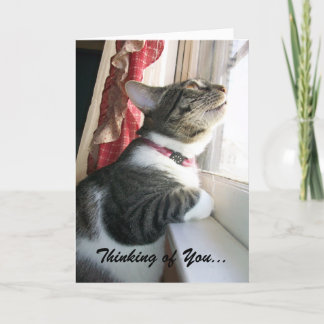 Cartão Pensamento de você…