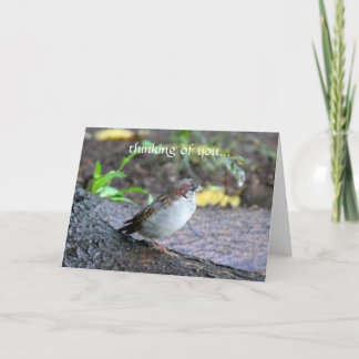 Cartão pensamento de você…