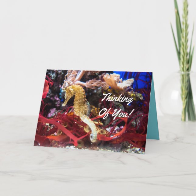 Cartão Pensamento de você cavalo marinho (Frente)