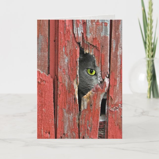 Cartão Pensamento de você gato (Frente)